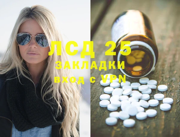 шишки Алзамай