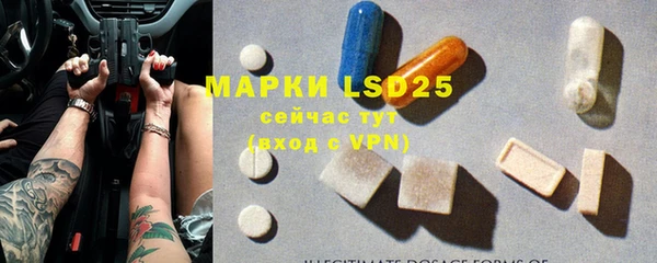 шишки Алзамай